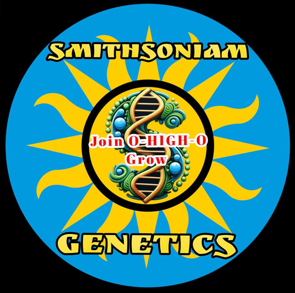 Pork Chop's Flower Stack & Smithsoniam Genetics