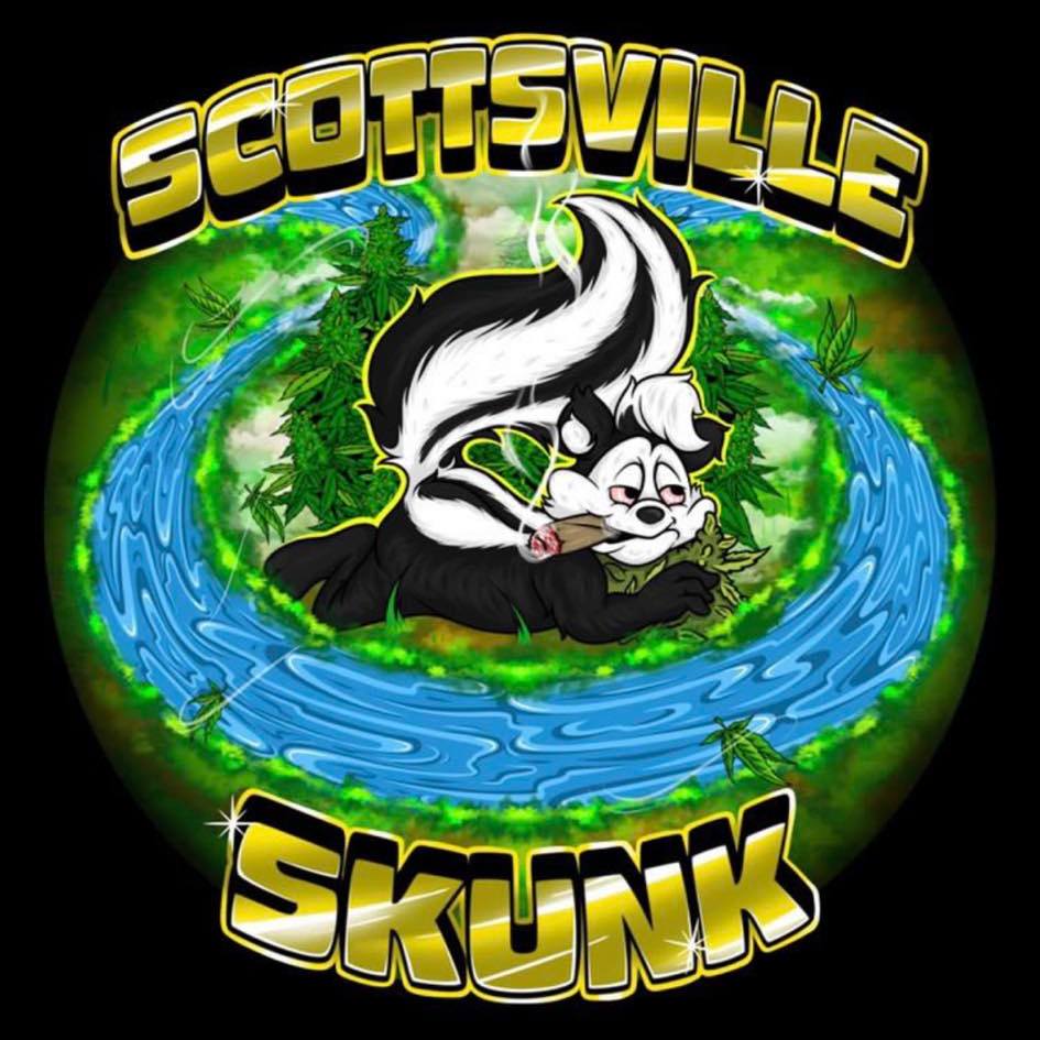 Pork Chop's Flower Stack Recommended by Scottsville Skunk Genetics